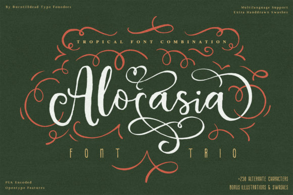 Alocasia: A Versatile Script Handwritten Font