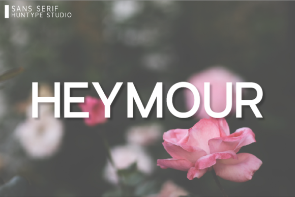 Heymour: A Modern Sans Serif for Real Projects
