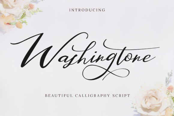 Washingtone: A Font That Elevates Your Brand